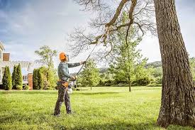 Reliable Wylie, TX  Tree Services Solutions